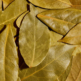 A close-up of Evermill's Organic Bay Leaves Refill shows several dried leaves overlapping one another. These bay leaves, from the Laurus nobilis plant, range from light brown to olive green and feature prominent veins with a slightly glossy texture. Perfect for infusing a rich aroma into your favorite stew.