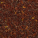 Organic Brown Mustard Seed Refill