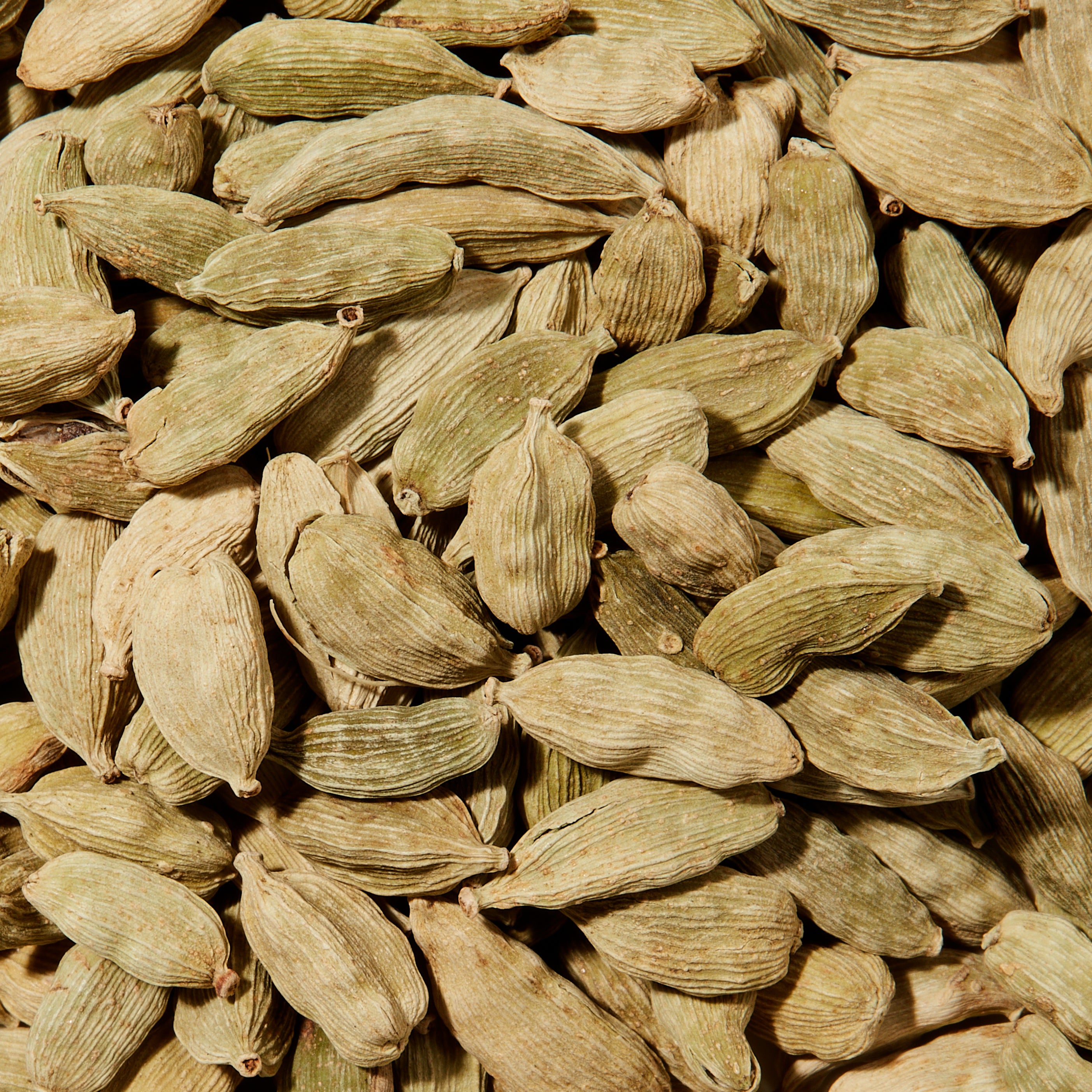 Organic Cardamom Refill – Evermill